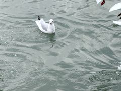 -蠡湖大桥公园