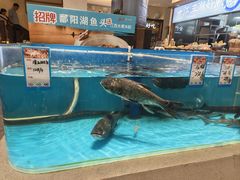 -海鸿荟·沿江菜(中山北路店)