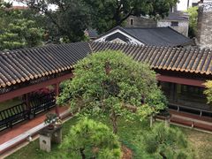 -碧江金楼