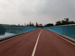 -白鹭湾湿地公园