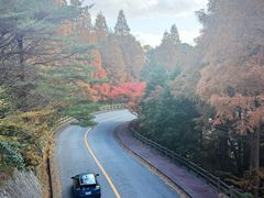 -神户市立六甲山牧场
