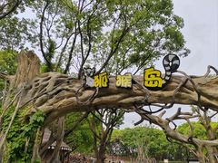-上海野生动物园