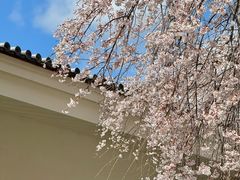 -醍醐寺