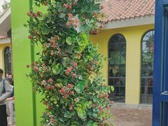 -西部长青自然儿童乐园