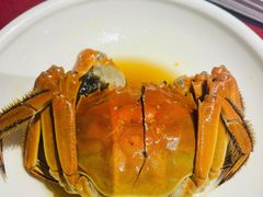 熟醉蟹-老吉士酒家(天平路店)