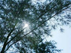 -西涌国际滨海旅游区