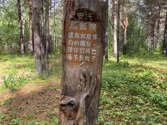 -北极村旅游风景区