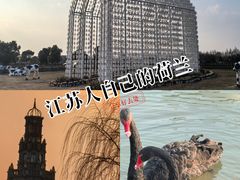 -荷兰花海