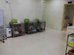 -宠颐生宠物医院·骨外科·犬猫全科诊疗中心(池州店)