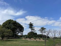 -银涛高尔夫练习场(徐泾店)