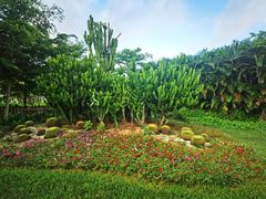 -亚龙湾国际玫瑰谷