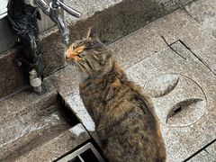 -龙华素斋(龙华路店)