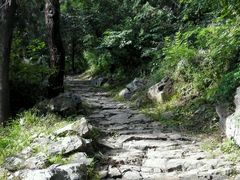 -阳台山自然风景区