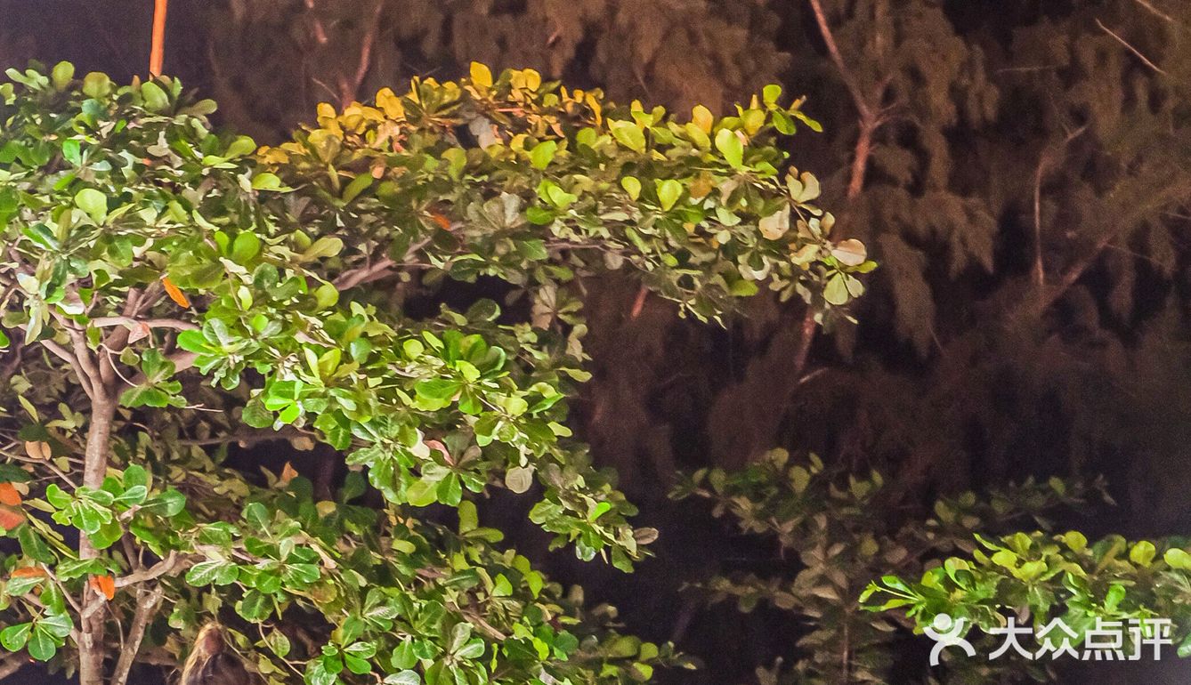 三亚吃川味海鲜最佳去处！