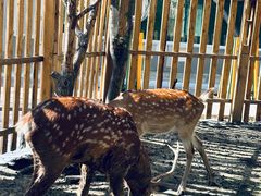 -水上乐园·欢乐世界