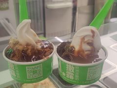 -Salud撒露欧洲冻酸奶(五道口购物中心店)