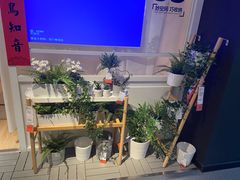 -宜家家居(西安未央商场店)