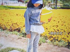 -武清南湖绿博园