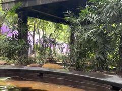 -融汇温泉