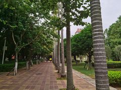 -厦门大学(思明校区)