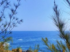 -广东惠东海龟国家级自然保护区