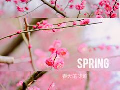 -白塘生态植物园