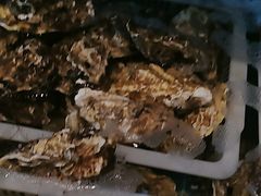 -锅老头铁锅炖•大锅蒸汽海鲜(韩乐坊店)