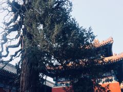 -孔庙和国子监博物馆
