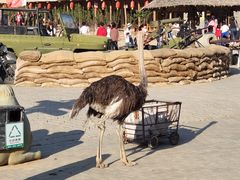 -包头古城文化旅游区