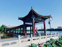 -莲花池公园