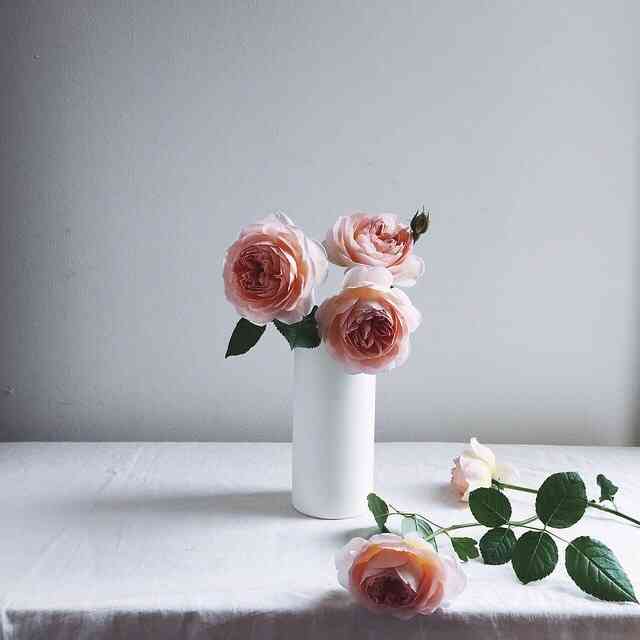 清凉冷饮(欧典家园店)-"l团购还真是不错的一种购物方式,既价廉物.