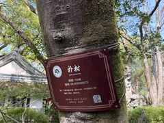 -绮园景区