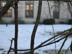 -北京张裕爱斐堡酒庄