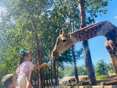 -大连森林动物园