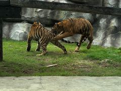 -南京金牛湖风景区