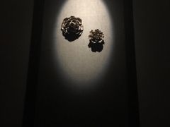 -Dragonfly悠庭·按摩Spa(浦东嘉里城店)