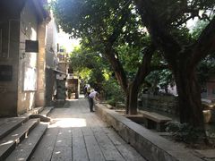 -小洲村