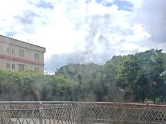 -陶缘一号·四季缘·老字号顺德菜·户外婚礼家宴(西滘店)