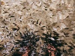 -明谷行馆·温泉