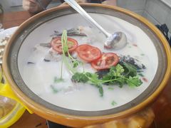 -全乐鱼馆·淳牌有机鱼直营店