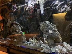 -石葵(锦业时代店)