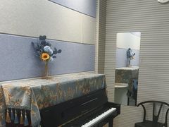 -武汉音乐学院徐东基地