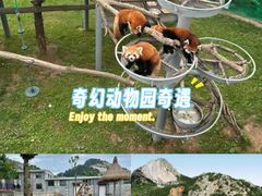 -西霞口神雕山野生动物世界