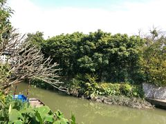 -小洲村