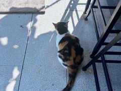 -转山咖啡(松柏社区店)