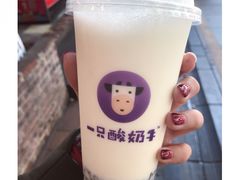 -一只酸奶牛(八一路店)