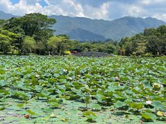 -星湖旅游景区七星岩