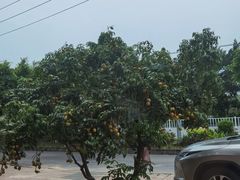 -西江河鲜·趣苑酒楼(鼎湖店)