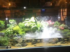 -牛品福潮汕牛肉火锅(旺庄店)