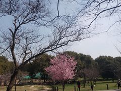 -苏州上方山国家森林公园
